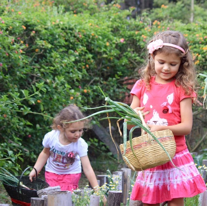 Los niños aprenden a cosechar