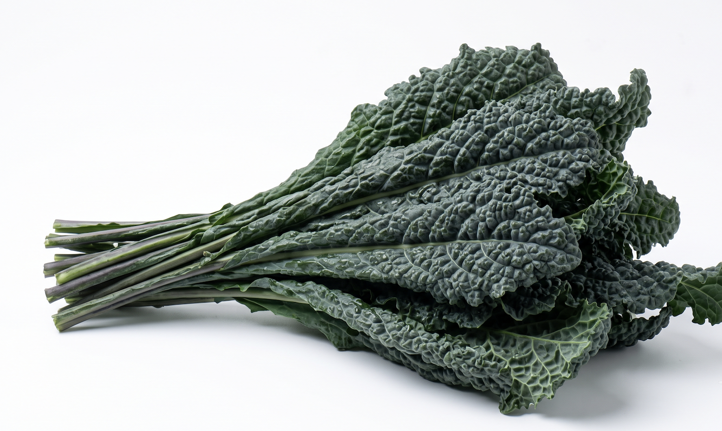kale dinosaurio orgánico
