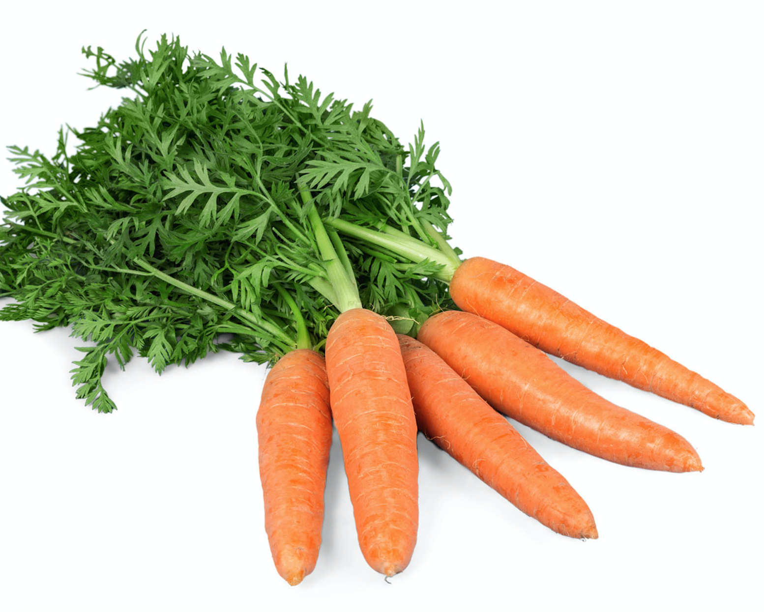 Zanahoria amarilla orgánica – por 1/2 Kg – Organic Life